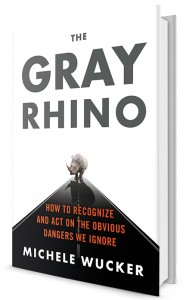 thegrayrhino 3D cover